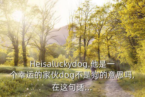 幸運兒英語,我是這里最幸運的一個你應感到幸運