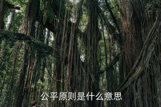 公平的意思,法律分析:公平原則是民法的基本原則