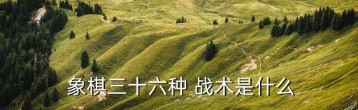  象棋三十六種 戰術是什么