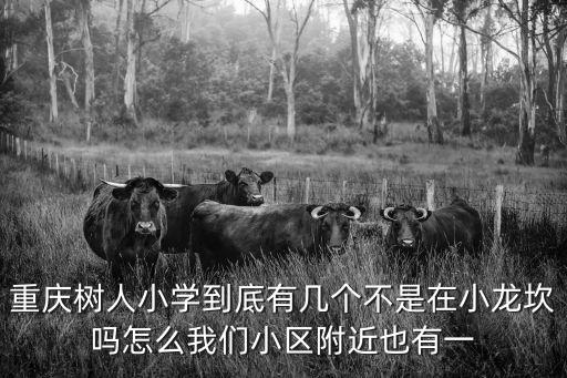 重慶樹人小學(xué)到底有幾個不是在小龍坎嗎怎么我們小區(qū)附近也有一