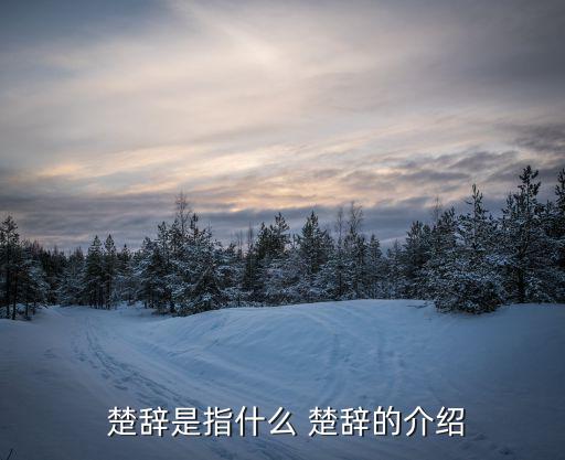 楚辭是指什么 楚辭的介紹