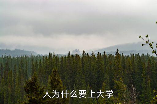 人為什么要上大學