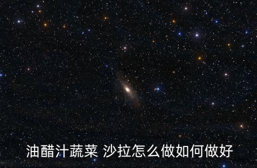 油醋汁沙拉,秘制油醋果汁