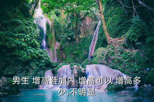 男生 增高鞋加內 增高可以 增高多少,不明顯