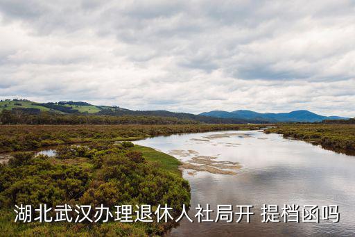 湖北武漢辦理退休人社局開 提檔函嗎