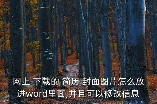 網上 下載的 簡歷 封面圖片怎么放進word里面,并且可以修改信息