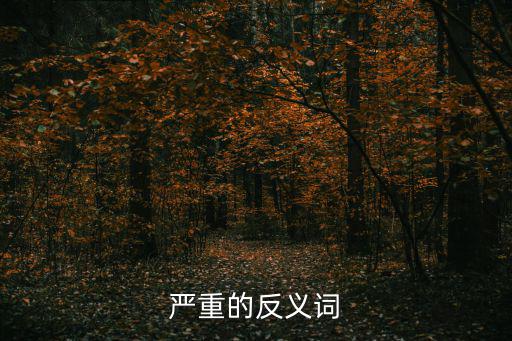 嚴重的反義詞
