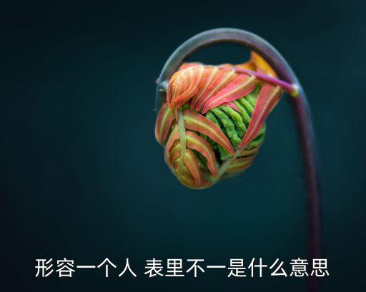 形容一個(gè)人 表里不一是什么意思