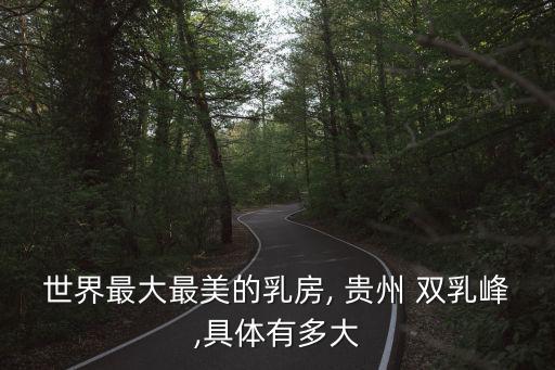 世界最大最美的乳房, 貴州 雙乳峰,具體有多大