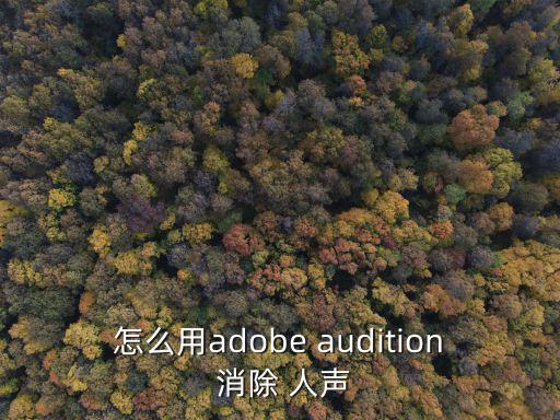 怎么用adobe audition 消除 人聲