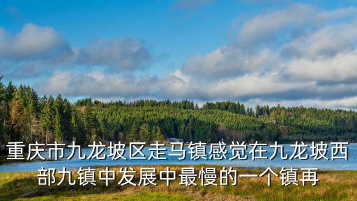 重慶市九龍坡區(qū)走馬鎮(zhèn)感覺在九龍坡西部九鎮(zhèn)中發(fā)展中最慢的一個鎮(zhèn)再