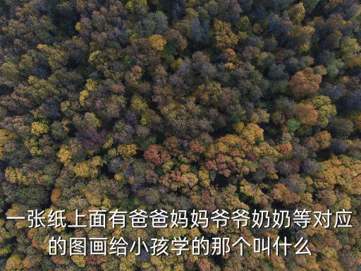 一張紙上面有爸爸媽媽爺爺奶奶等對應(yīng)的圖畫給小孩學(xué)的那個叫什么
