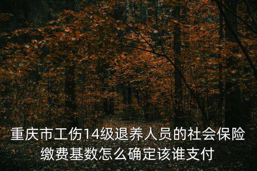重慶市工傷14級(jí)退養(yǎng)人員的社會(huì)保險(xiǎn)繳費(fèi)基數(shù)怎么確定該誰(shuí)支付