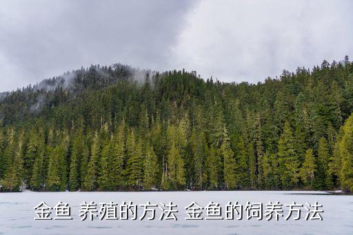  金魚 養殖的方法 金魚的飼養方法