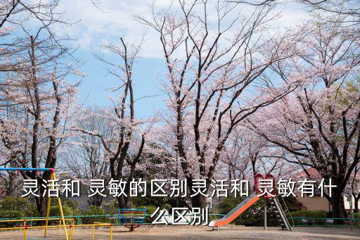 靈敏,《偏集:文學與政治誤導》第一集:敏捷與靈性精神