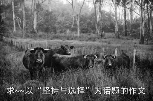 求~~以“堅(jiān)持與選擇”為話題的作文