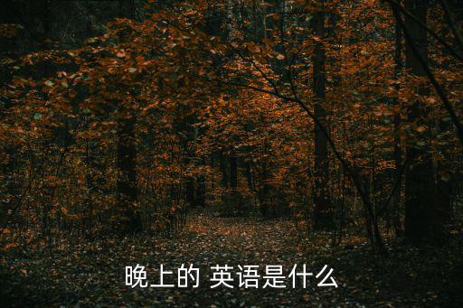 晚上的 英語是什么