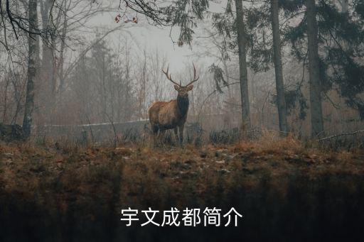 宇文成都簡介