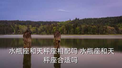 水瓶和天秤,水瓶和天秤座的配對讓人捉摸不定