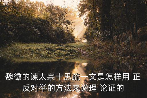 魏徵的諫太宗十思疏一文是怎樣用 正反對舉的方法來說理 論證的