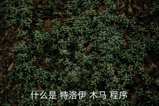 什么是 特洛伊 木馬 程序