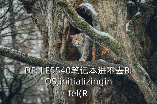 e5540,本屆大選提名網(wǎng)絡(luò)版競選廣播