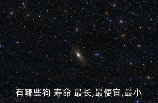 什么狗壽命最長,狗狗平均壽命遠(yuǎn)低于人類但不是固定模式