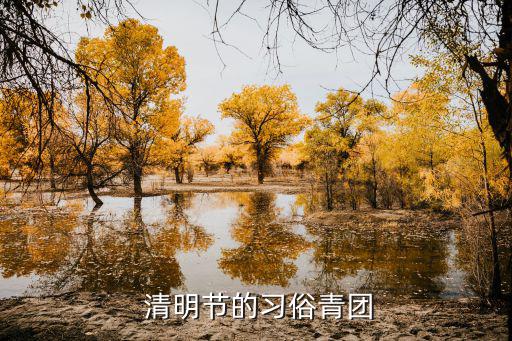 清明團(tuán),清明團(tuán)子來源于千年前南方地區(qū)傳統(tǒng)小吃