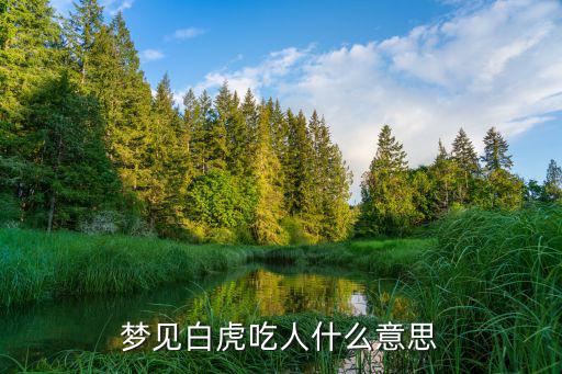 夢(mèng)見(jiàn)老虎吃人，夢(mèng)見(jiàn)白虎吃人什么意思