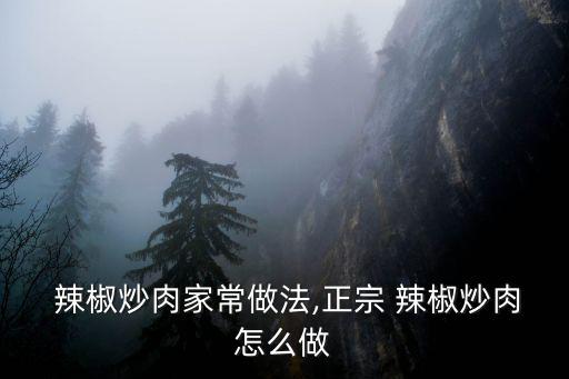  辣椒炒肉家常做法,正宗 辣椒炒肉怎么做
