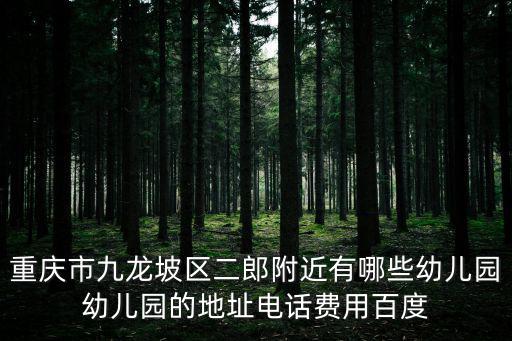 重慶市九龍坡區二郎附近有哪些幼兒園幼兒園的地址電話費用百度