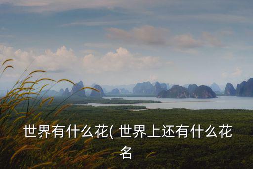  世界有什么花( 世界上還有什么花名
