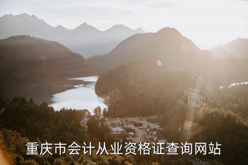 重慶市會計從業資格證查詢網站