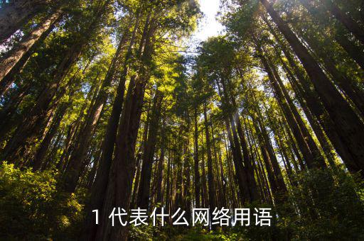 1 代表什么網絡用語