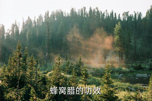 蜂蠟的作用與功效,蜂蠟可用于蠟燭加工和民間蠟染工藝