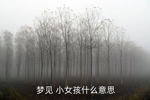 夢(mèng)見漂亮的小女孩,夢(mèng)見holds小女孩求職者將有什么好運(yùn)?