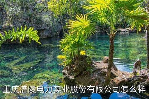 重慶涪陵電力實(shí)業(yè)股份有限公司怎么樣
