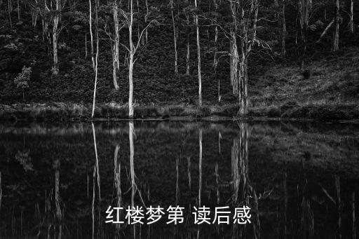 紅樓夢第 讀后感