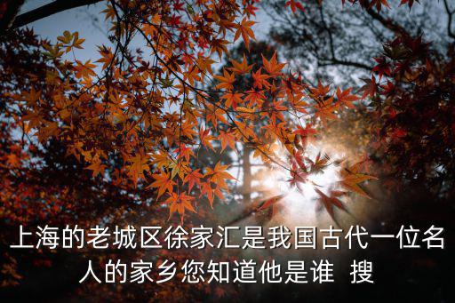 2000年上海徐匯區區長，20062009年是誰擔認徐匯區區長
