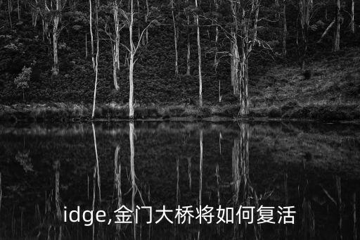 bridge,金門大橋將如何復活