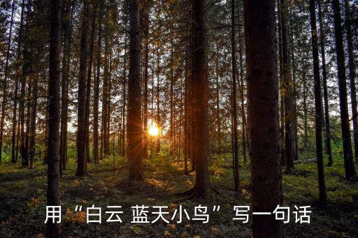 用“白云 藍(lán)天小鳥”寫一句話