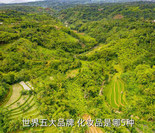  世界五大品牌 化妝品是哪5種