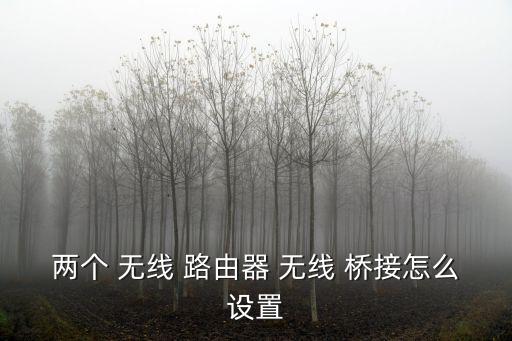 無線橋接路由器,如何連接第二個路由器?