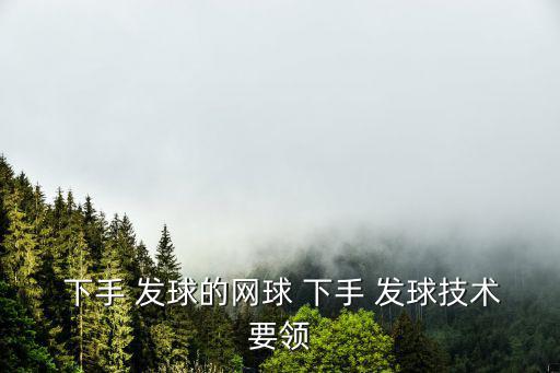  下手 發(fā)球的網(wǎng)球 下手 發(fā)球技術(shù)要領(lǐng)