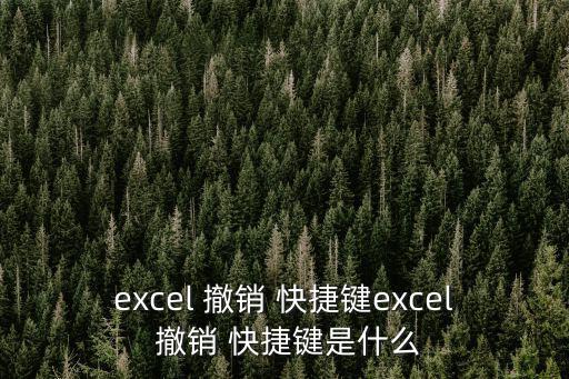 excel 撤銷 快捷鍵excel 撤銷 快捷鍵是什么