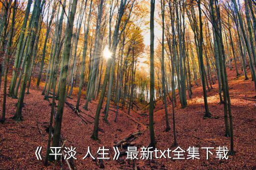 《 平淡 人生》最新txt全集下載