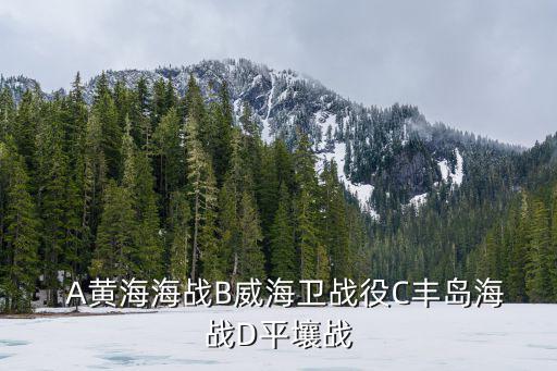   A黃海海戰B威海衛戰役C豐島海戰D平壤戰