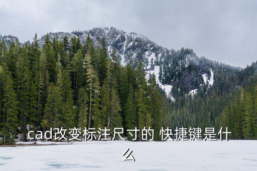 cad改變標注尺寸的 快捷鍵是什么