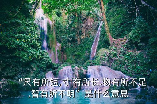 尺有所長寸有所短,尺寸有所長與智慧無用
