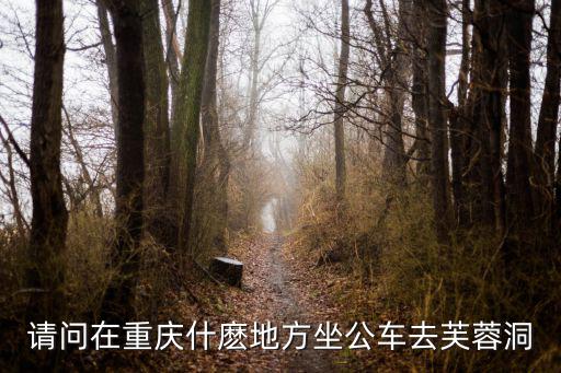 請(qǐng)問(wèn)在重慶什麼地方坐公車去芙蓉洞
